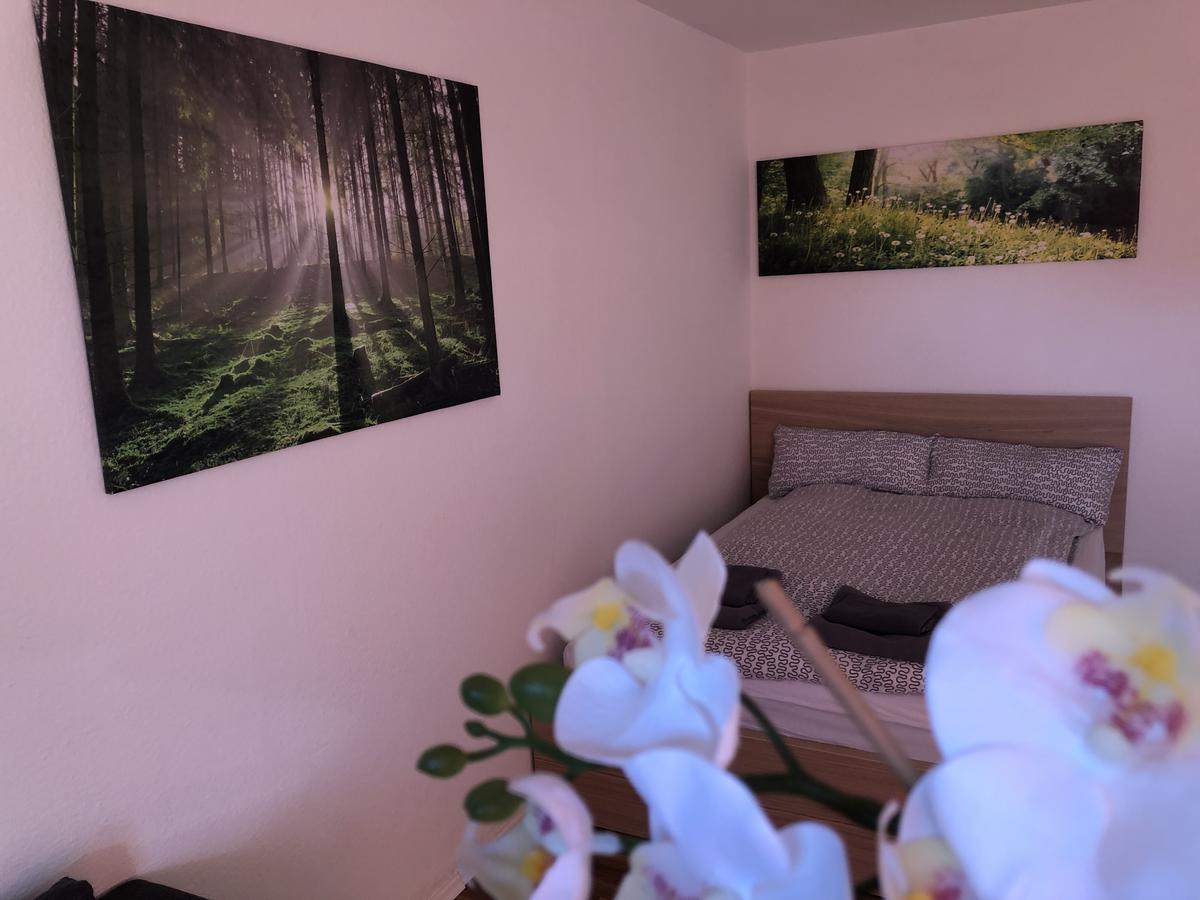 Appartement Redhouse 雷根斯堡 外观 照片